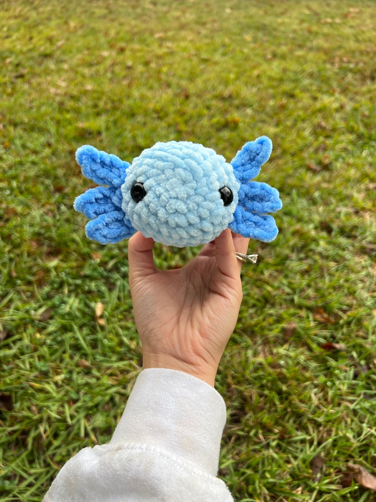 Custom Mini Axolotl