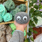 Pet Rock Crochet Pattern