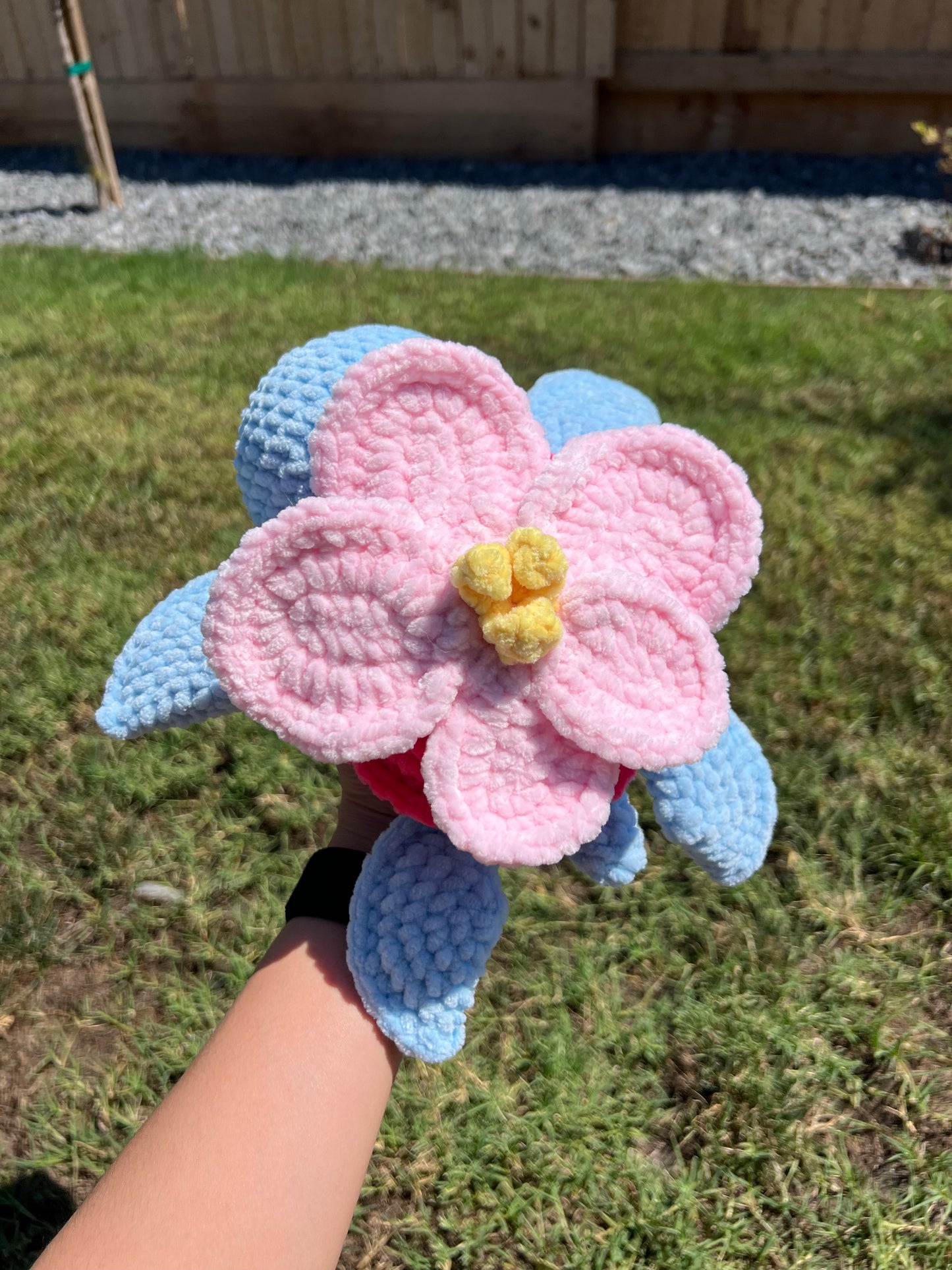 2-in-1 Flower Turtle Crochet Pattern